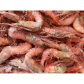 Frozen Red Deep Sea Prawn